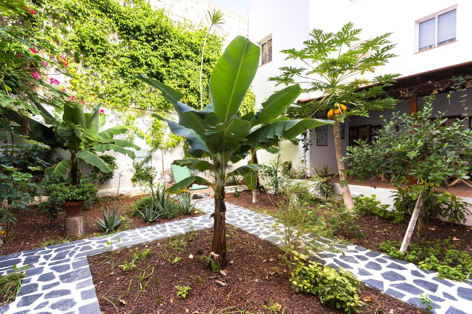 Villa Garachico Center Secret Garden Exterior foto